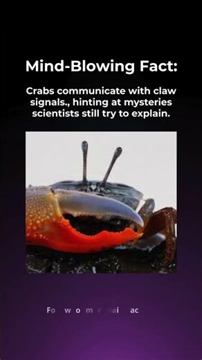 Crabs communicate with claw signals
