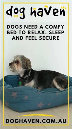 Dog Bed is a comfortable place to relax, sleep and feel secure | doghaven.com.au