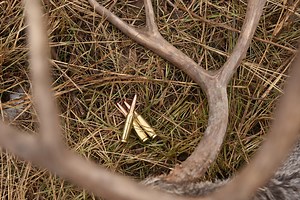 15K views · 75 reactions | Black Hills Ammunition represents the best american made ammunition! | Outdoors on Outsider | Facebook