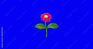 Cartoon pink flower growing blue screen. From seed to plant. Bluebox isolated cute plant with green leaves. Happy flower growing very fast. Good for any animated garden. Flower or treegrow.