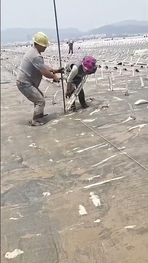 Collaborative inserting process of drainage pipes in soft soil