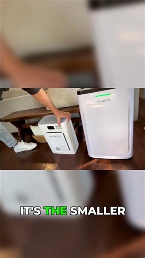 Upgrade Your Air: Large vs. Small Purifier Comparison