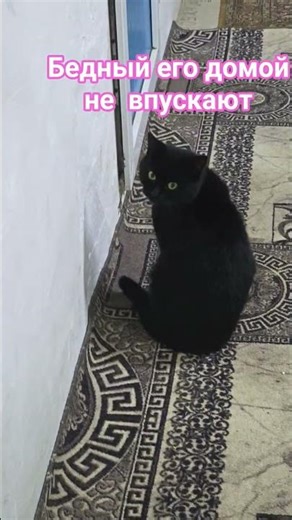 30 ноября 2025 г.