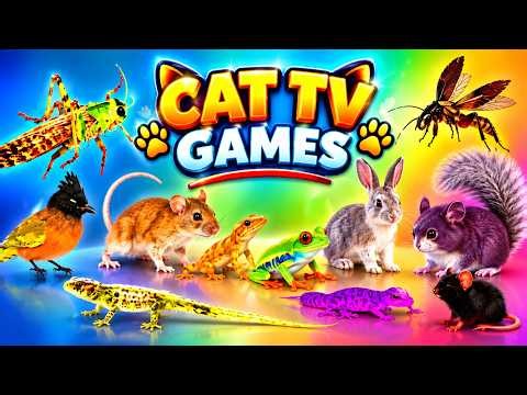 CAT TV 3D 🐭 Ultimate Cat Games | Interactive Hunting Games,Animals & More | Videos for Cats 4K 60FPS