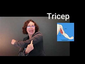 ASL Quick upload: Bicep/Tricep function