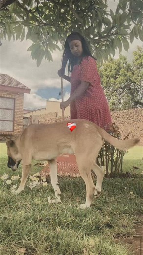 sengwayo_makhoba (@sengwayo_makhoba)’s videos with original sound - Clout Chaser