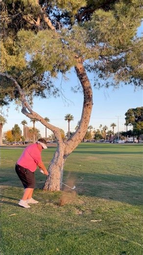 Slinging a hook around a tree was the only option, and struck well!! #golf