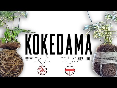 DIY Kokedama: How to Make a Hanging Moss Ball Planter (Step-by-Step)
