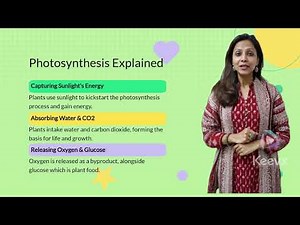 How Plants make their own food