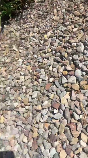 This is how the automatic hook setter works!