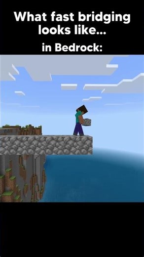 Java VS Bedrock Bridging