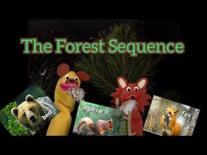 Baby Einstein Lost Media: Everything Currently Available from the World Animals Forest Sequence
