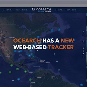 12K views · 546 reactions | Instead of using the app to track sharks and other animals, use our new web-based tracker. It’s packed full of new features and can be accessed through the browser on any device. All of our tracking data is open sourced on it so everyone can follow along and join us in our mission. Simply visit https://www.ocearch.org/ | OCEARCH | Facebook