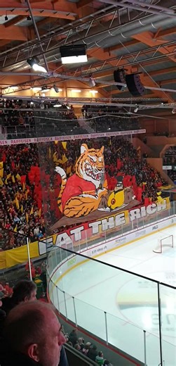 Yeahh - Derby SCL vs. SCB | Michelle Renaud