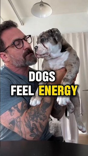 Your Dog Understands More Than You Think | Dr. Andrew Huberman & Cesar Millan⁠