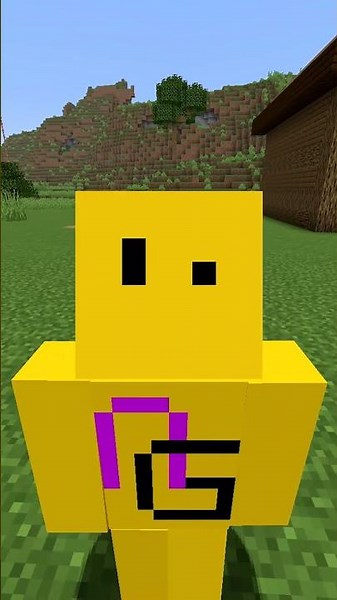Why you can't stack TOTEM in Minecraft #minecraft