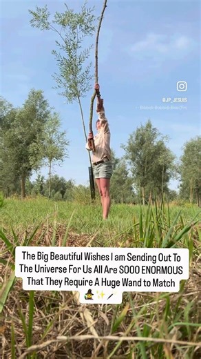 Big Beautiful Wishes For Us All With A Big Wand #spirituality #positivity #magic #universe #befree