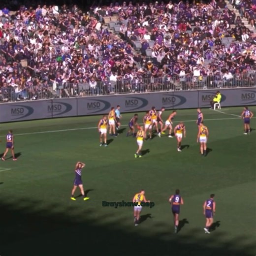 Pat Voss and Fremantle Dockers Highlights