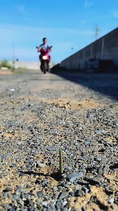 1.6K views | Quick Tire Repair for Beginners – Step by Step Guide #tyre #kit #fast #usa | The Dam Wall | Facebook