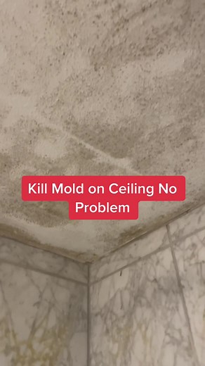 Effective Techniques to Remove Mold from Ceiling