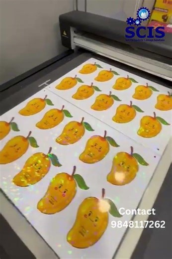 Full fledged shape cutting with Flatbed