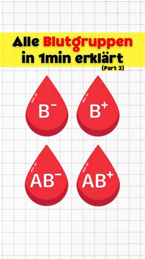 Alles erklärt on Instagram: "Alle Blutgruppen erklärt in 1 Minute (Part 2) 🩸Blutgruppen einfach erklärt. Heute geht es um B negativ, B positiv, AB negativ und AB positiv - was sie unterscheidet, wer wem Blut spenden kann und was Antigene & der Rh - Faktor überhaupt bedeuten. #medizin #wissen #lernen"