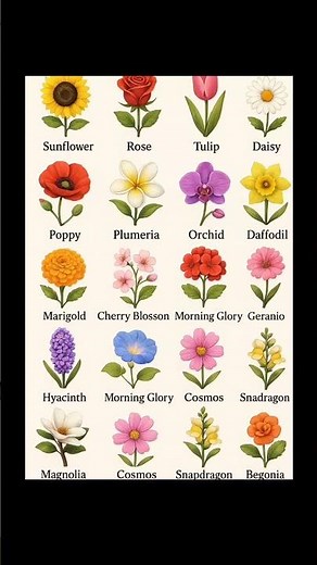 Flowers Name Chart | 20 Flowers for Learning | Educational Video