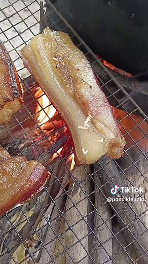 Understanding Pork Worm Parasites in Meat