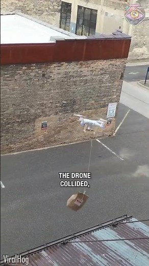 My Lunch Took Flight… Then Crashed 🤭