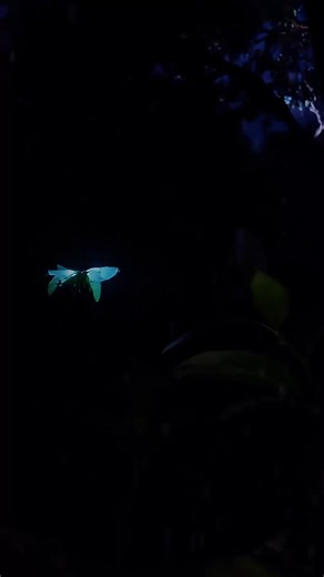 25K views · 1.5K reactions | Affirm Yes ❤️ . . . . . . . . #affirmation #affirmations #affirmationoftheday #wealthcreation #attractmoney #lawofattractionmoney #lawofattraction #buddha #sprituality #awakening #usa #newyork #losangeles | Law of attraction | Facebook