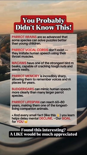 12K views · 113 reactions | Amazing Parrot Facts Close To Human Nature #facts | Time Facts | Facebook