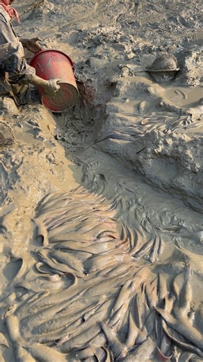 It's not enough to just dream, it's also important to wake up for it. #fishing