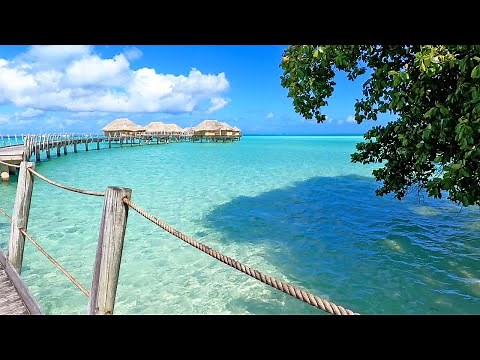 Bungalow Bliss: 3 Hours of Overwater Seaside Ambience From Tahiti