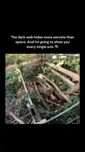 dark web page on Instagram: "日本正在利用城市中的空气流动来发电,这种技术被称为风能通道发电系统。这种系统通常安装在立交桥下、道路两侧以及地铁入口等空气流动频繁的区域。 当车辆高速经过或人群在地铁中移动时,会产生强烈的气流,这些气流被引入通道内部,推动微型风力涡轮机旋转,从而产生电能。 这些涡轮机即使在非常微弱的风速下也能高效运转。 因此,无论是汽车行驶、火车经过,还是人们日常走动产生的空气流动,都可以成为持续的能源来源。单个风能通道每天产生的电量足以支持道路照明、监控设备、地铁指示牌以及各种感应系统的运作。 在东京和大阪的试点项目中,这项技术展现出良好的稳定性和节能效果。专家表示,如果将风能通道与太阳能板和储能装置结合,未来的城市交通枢纽将能实现部分能源自给,大大减少对传统电力的依赖。 这种技术将城市中原本被浪费的空气动力转化为可再生能源,为智慧城市与绿色交通的发展带来新的可能,是未来可持续能源的重要方向。 实验热门"