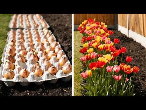 Plant Bulbs Perfectly Every Time Using Egg Cartons