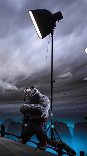 KUNG FU PANDA NEW VIDEO