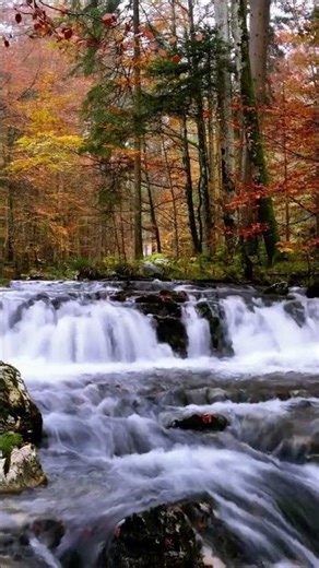 Handpan & Piano 🌿 River Calm