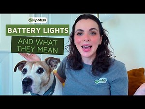 SpotOn Collar Lights Explained: What Do the Lights on the GPS Dog Fence Collar Mean?