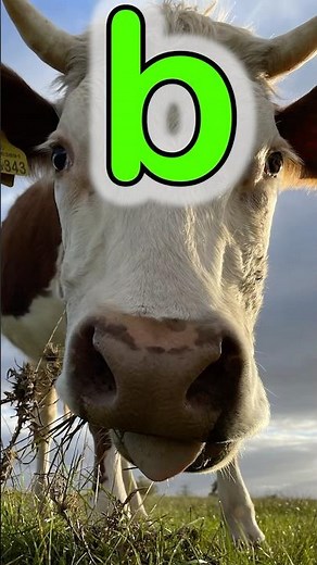 Farm ABC (ABCD) #farm #animals #cow #duck #bull #llama #learning #alphabet #abc #farmanimals #kids