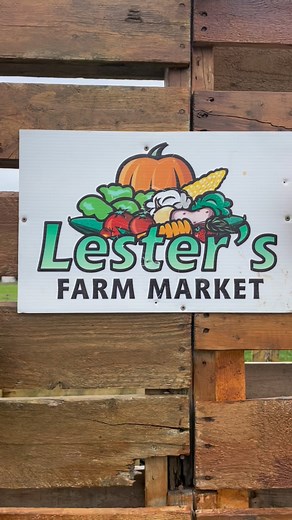 That’s a wrap on another incredible Field of Fun season! 🌽 Thank you to every family who joined us, for the laughter, the photos, and all the muddy boots. Our Field of Fun is now closed for the year, but there’s still plenty happening at the farm this fall! (Think veggies, baked goods, and special holiday treats 🎄) Until next season… thanks for keeping the fun at Lester’s Farm Market, 173 Brookfield Road! P.S. if you watch until the end, you’ll see a little thing we’ve been working on for next