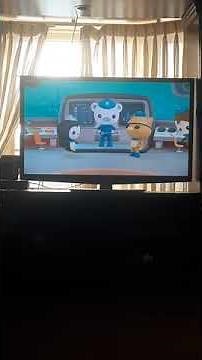 octonauts creature report great white shark