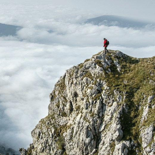 What is Permanent Roaming?