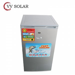 [Hot Item] 100L Small Refrigerator DC 12V AC 100-240V Mini Fridge for Home