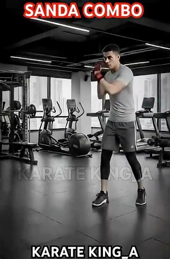 Sanda combo #tutorial #youtubeshorts #ytshorts #usa #russia #india #mma #shorts #yt #shortvideo #mma