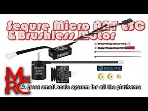 Sequre ANT ESC & 1520 Outrunner Motor Review | Power Upgrade for Mini & Micro RC Crawlers!