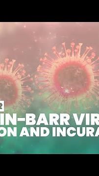 What is the Epstein-Barr virus? #ebv