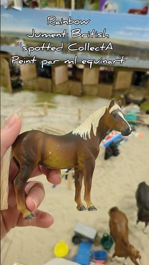 Modèle VS customs 4 #collecta