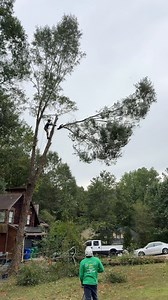 1.1K views · 565 reactions | ‍♂️Tree Service, Lot Clearing and Land...