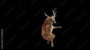 Deer Dancing CG fur 3d rendering animal realistic CGI VFX Animation Loop composition 3d mapping cartoon, Included in the end of the clip with Alpha matte.
