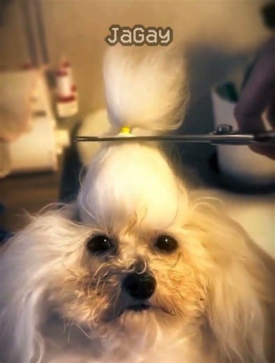 Team Fortress 2 (23) (no effort) #tf2 #teamfortress2